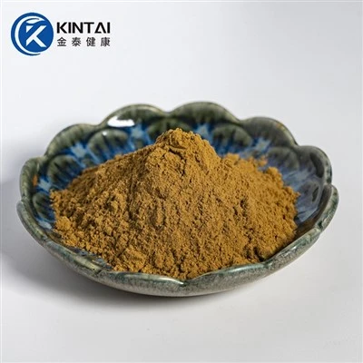 สารสกัดจากโหระพา Tulsi