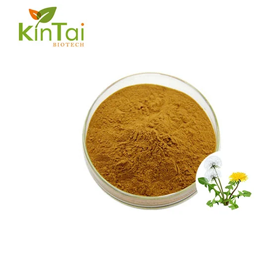 product-564-564 product-564-564